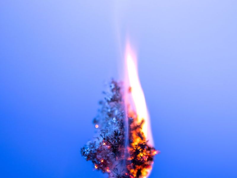 Why does burn out feel like a trap you can’t break free from?